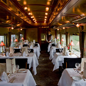 300x300traincarglobus